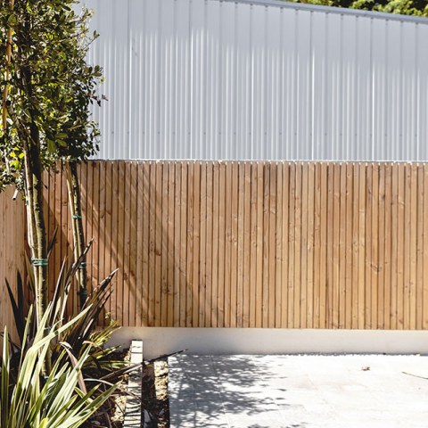 Image Not Found On Media Library