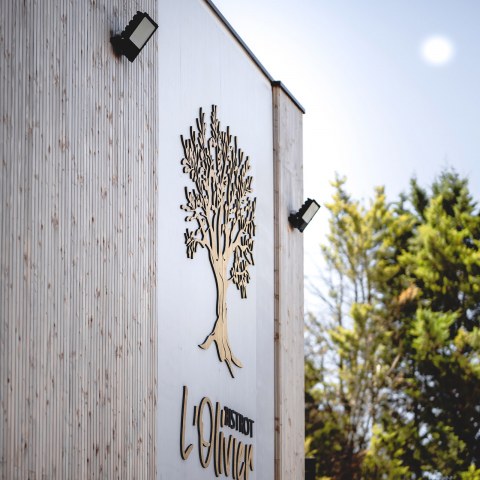 Image Not Found On Media Library