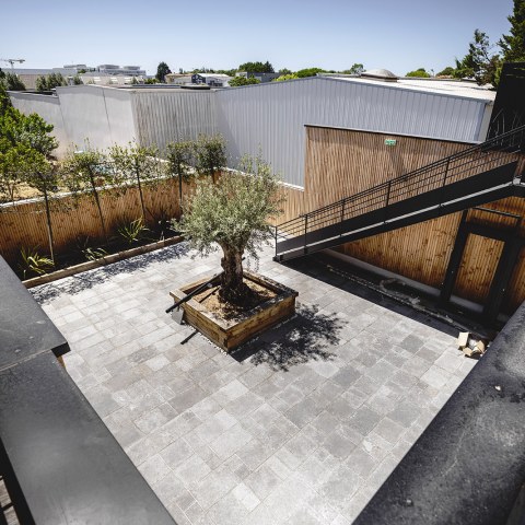 Image Not Found On Media Library