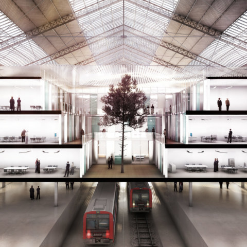 Image Not Found On Media Library