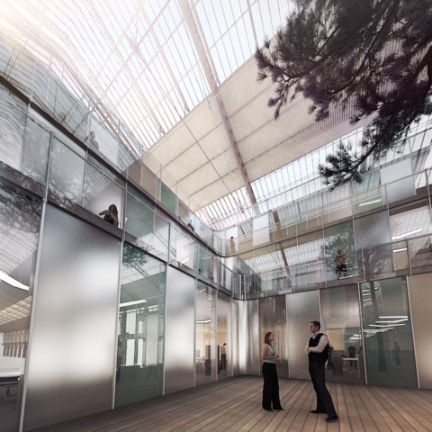 Image Not Found On Media Library