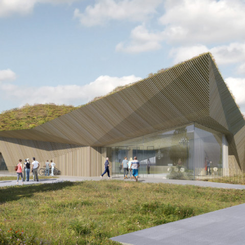 Image Not Found On Media Library