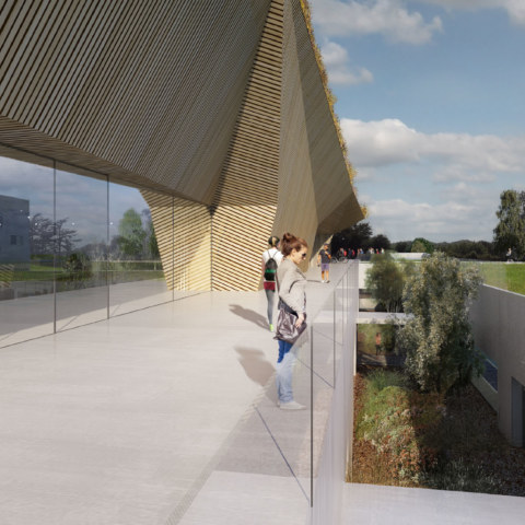 Image Not Found On Media Library