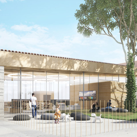 Image Not Found On Media Library