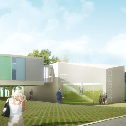 Image Not Found On Media Library