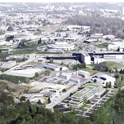 Image Not Found On Media Library