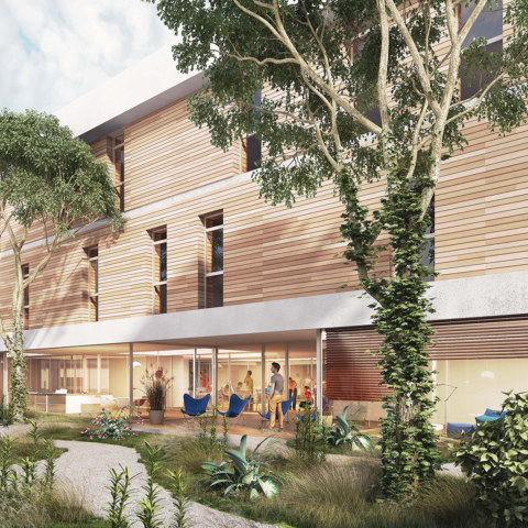 Image Not Found On Media Library