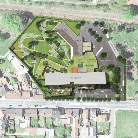 Image Not Found On Media Library